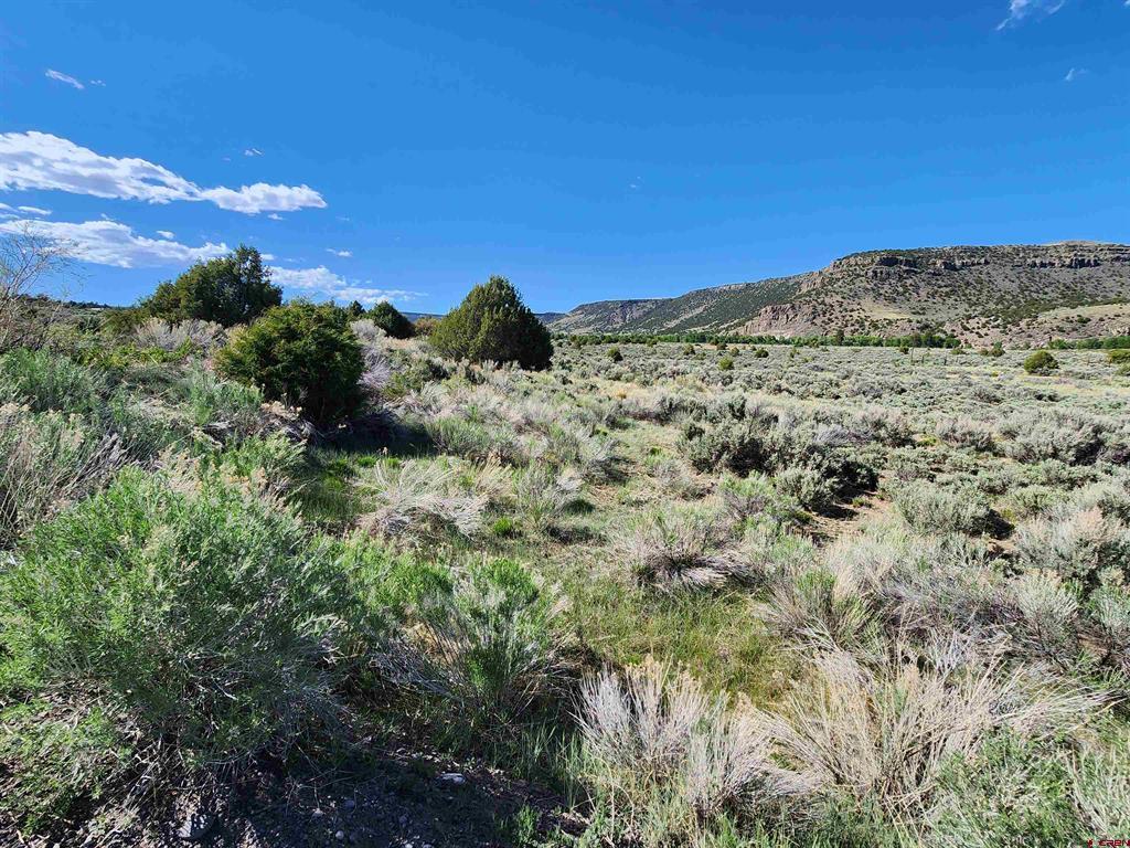 Lot 11 Conejos River Trails Antonito CO 81120