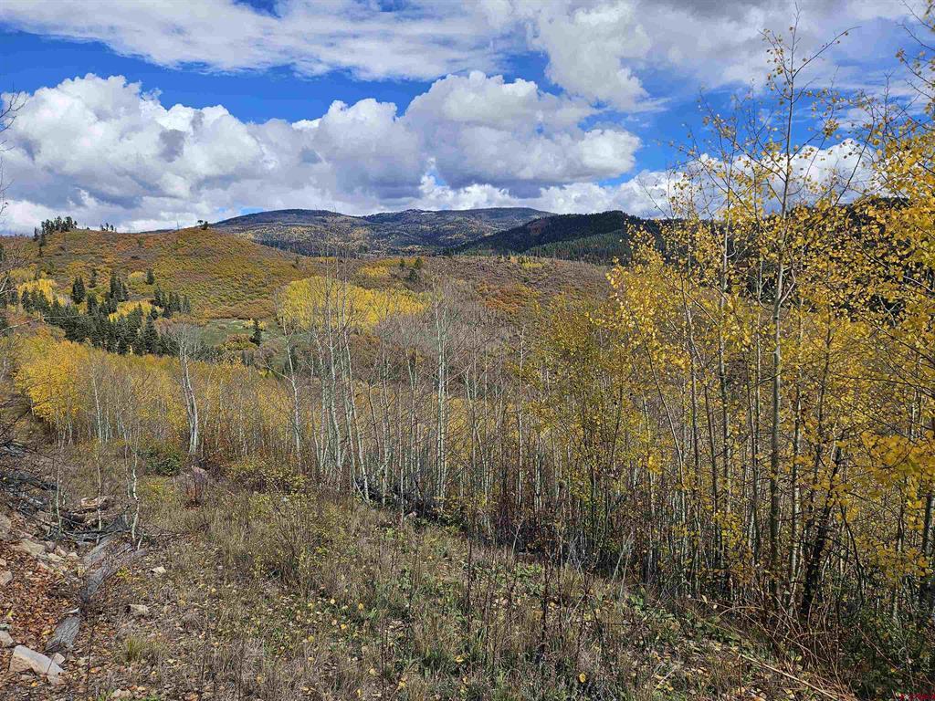 Tbd County Road 243 Durango CO 81301