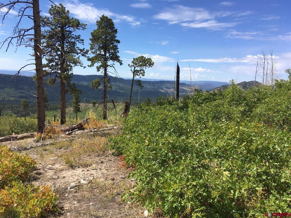 Tbd County Road 243 Durango CO 81301