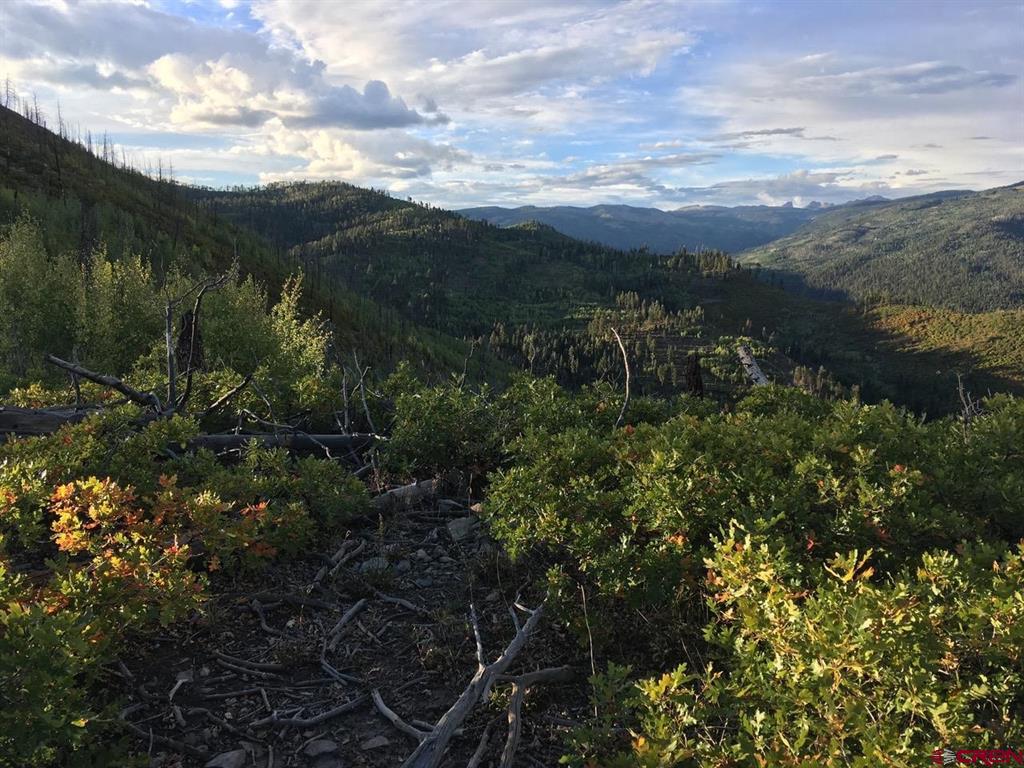Tbd County Road 243 Durango CO 81301