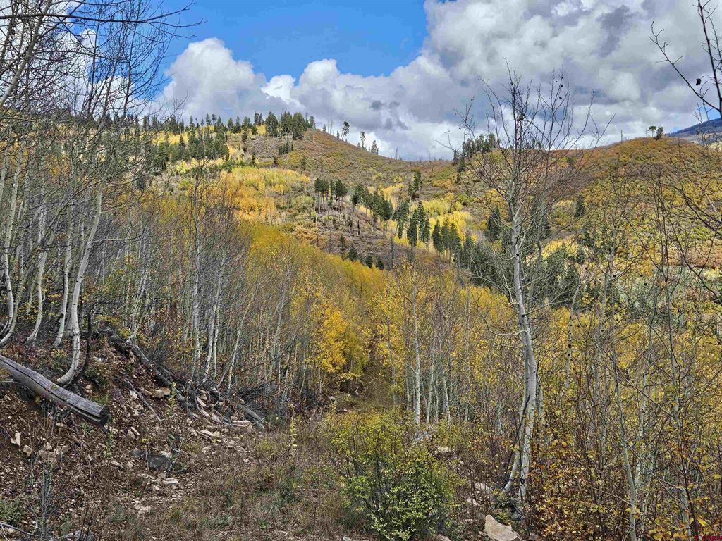 Tbd County Road 243 Durango CO 81301