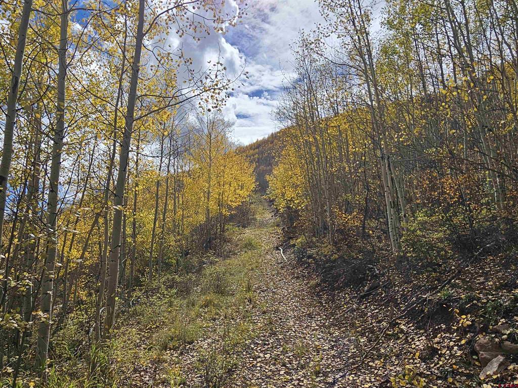 Tbd County Road 243 Durango CO 81301