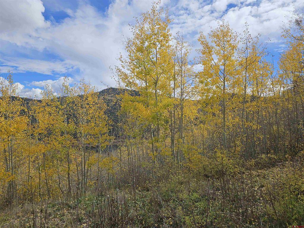 Tbd County Road 243 Durango CO 81301