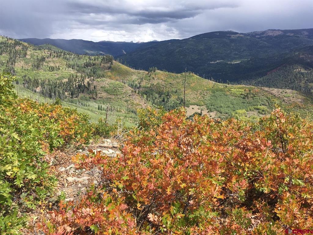 Tbd County Road 243 Durango CO 81301