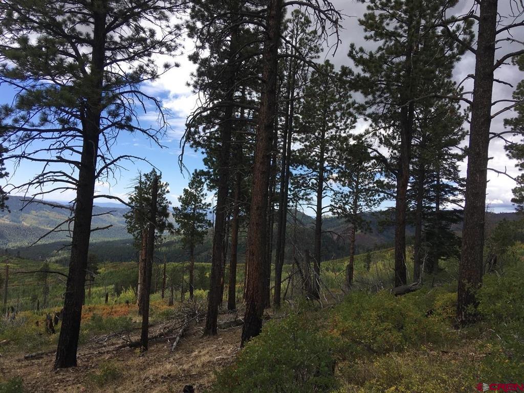 Tbd County Road 243 Durango CO 81301