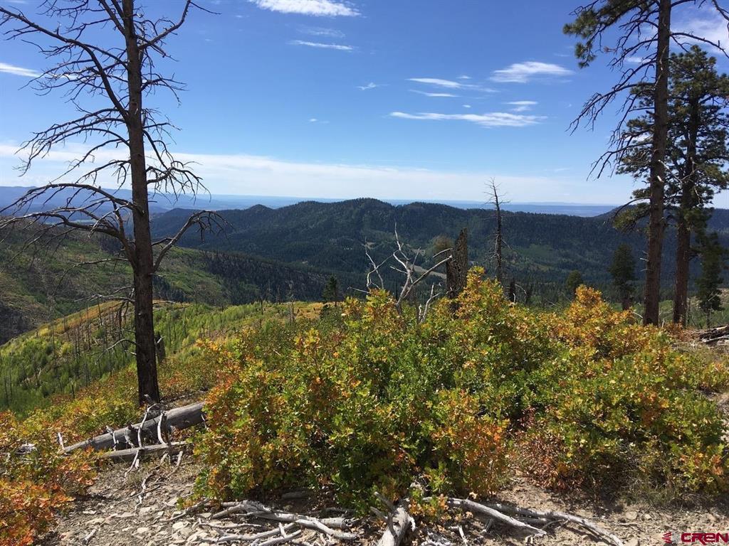 Tbd County Road 243 Durango CO 81301