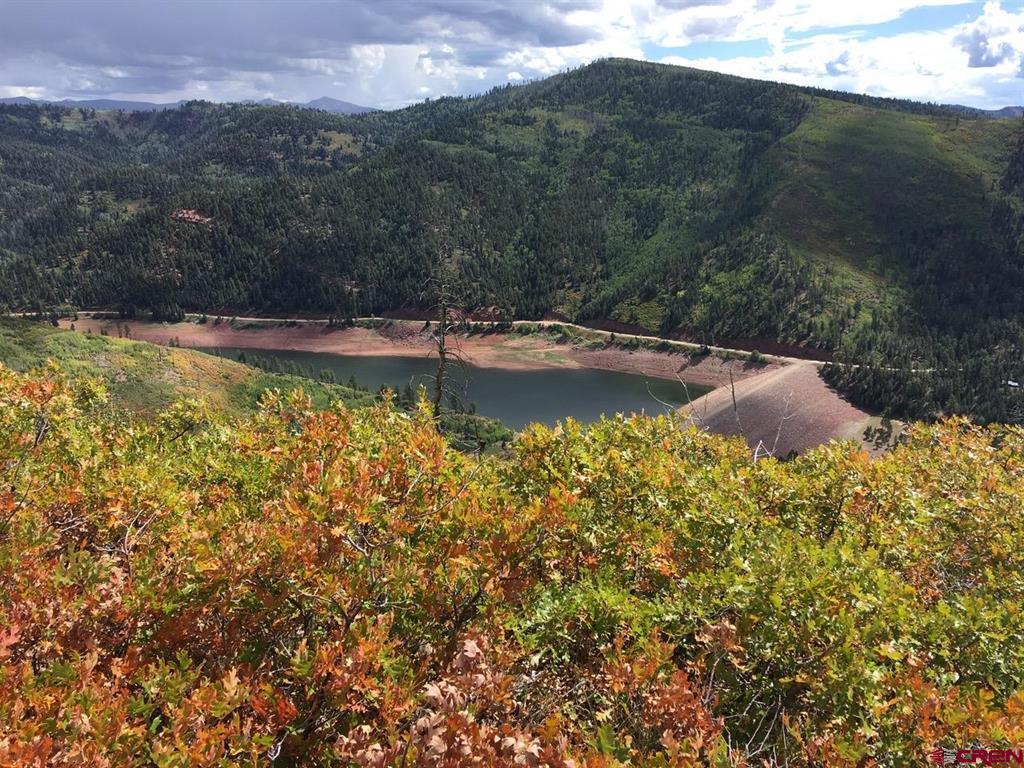 Tbd County Road 243 Durango CO 81301