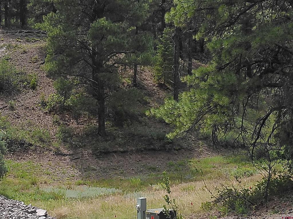 Pagosa Springs CO, 165 Tiffany