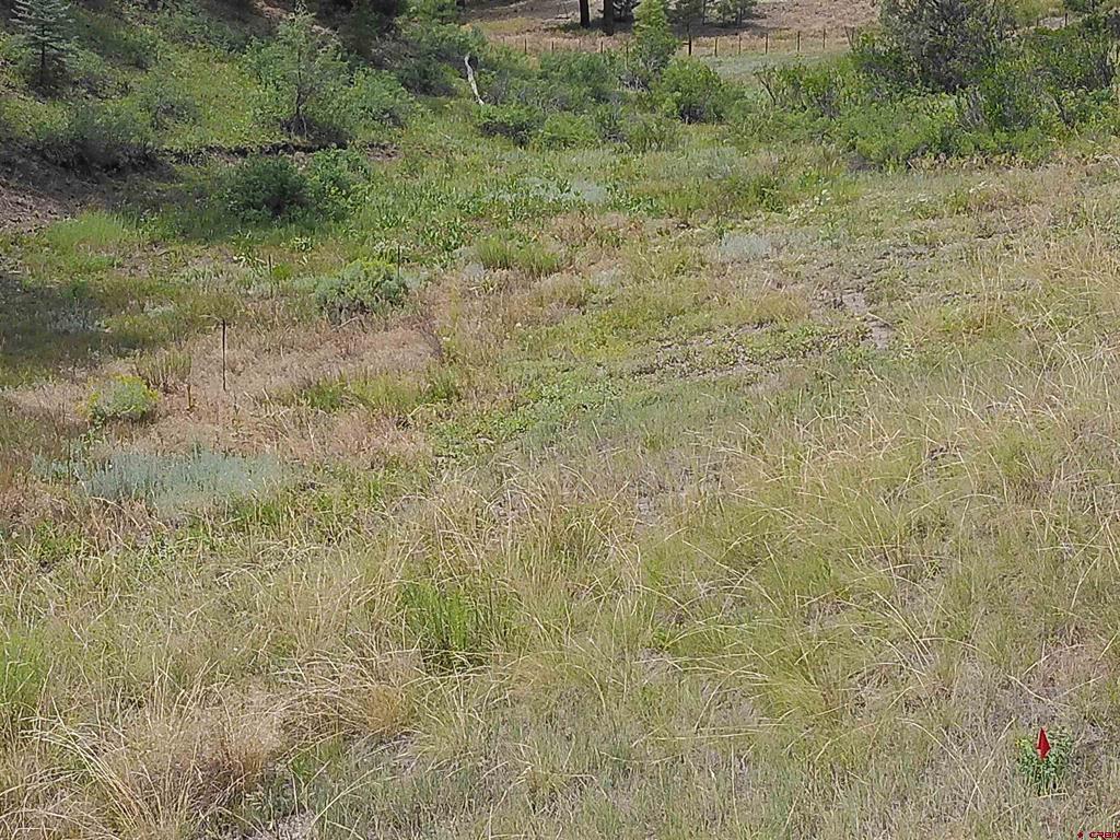 165 Tiffany Place Pagosa Springs CO 81147