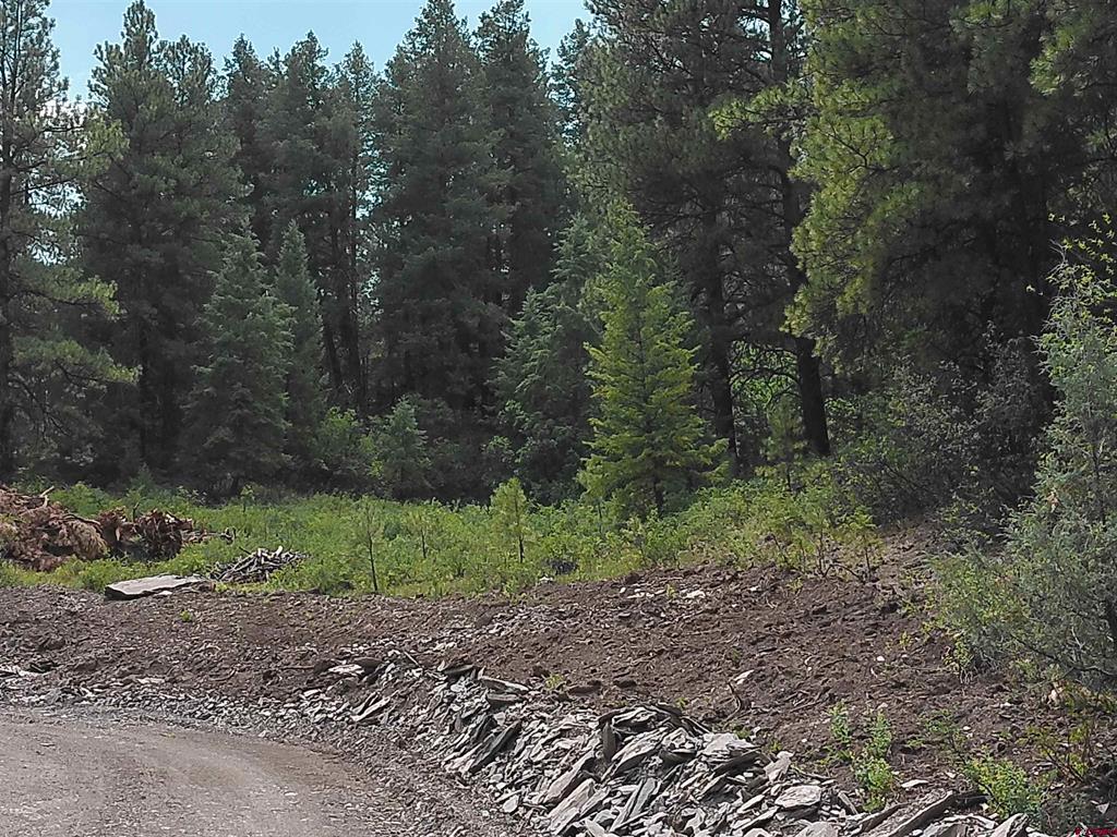 165 Tiffany Place Pagosa Springs CO 81147