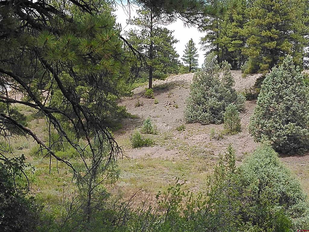 165 Tiffany Place Pagosa Springs CO 81147