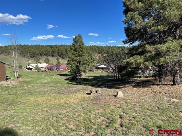 18 Balfour Court Pagosa Springs CO 81147