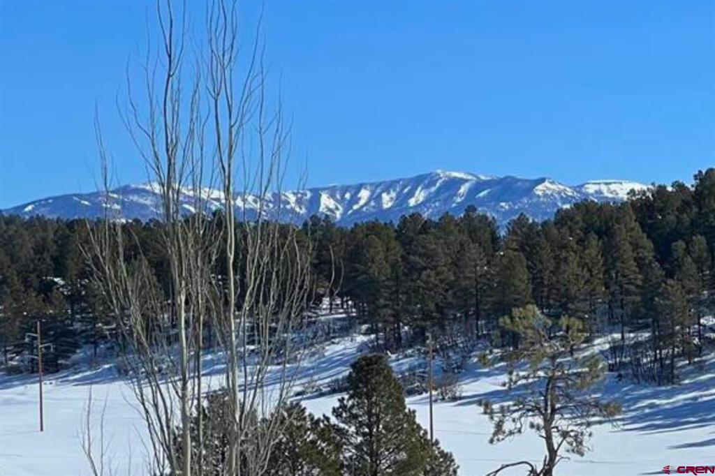 18 Balfour Court Pagosa Springs CO 81147