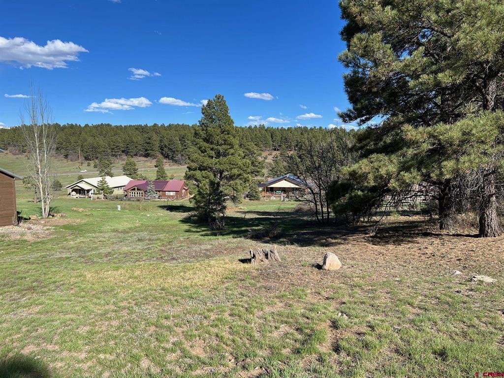 18 Balfour Court Pagosa Springs CO 81147