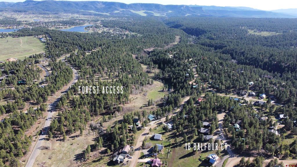 18 Balfour Court Pagosa Springs CO 81147