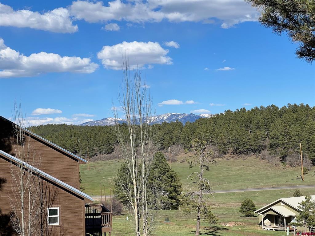 18 Balfour Court Pagosa Springs CO 81147