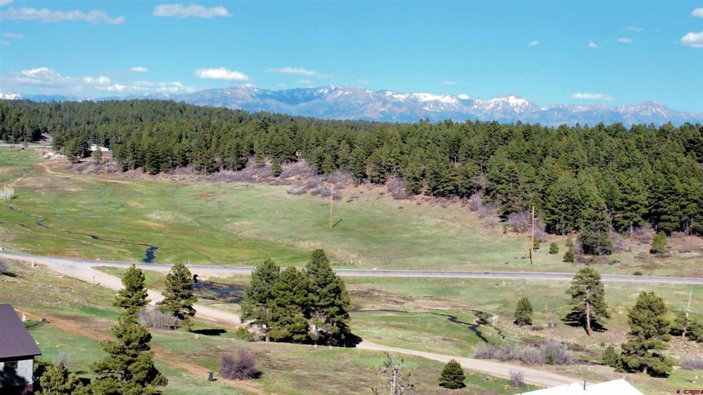 18 Balfour Court Pagosa Springs CO 81147