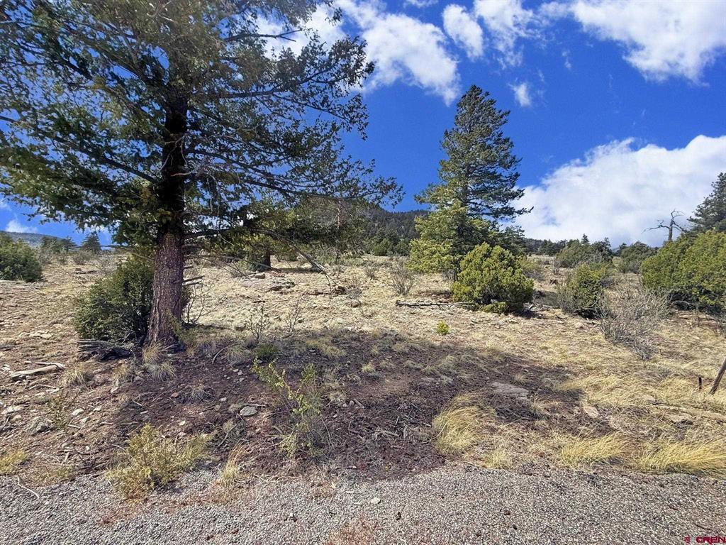 51 Moajve Court South Fork CO 81154