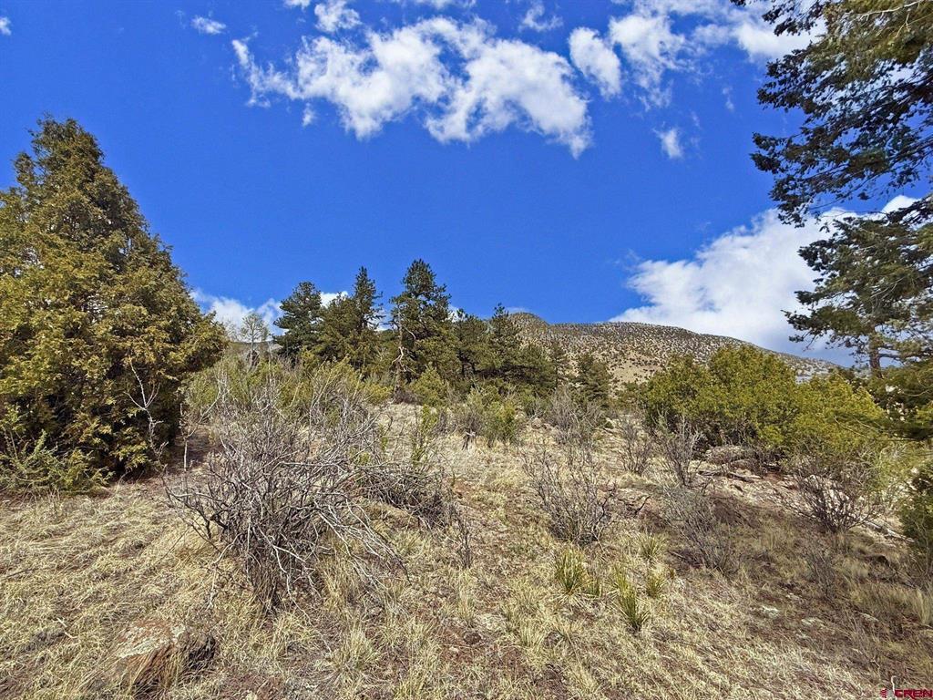 51 Moajve Court South Fork CO 81154