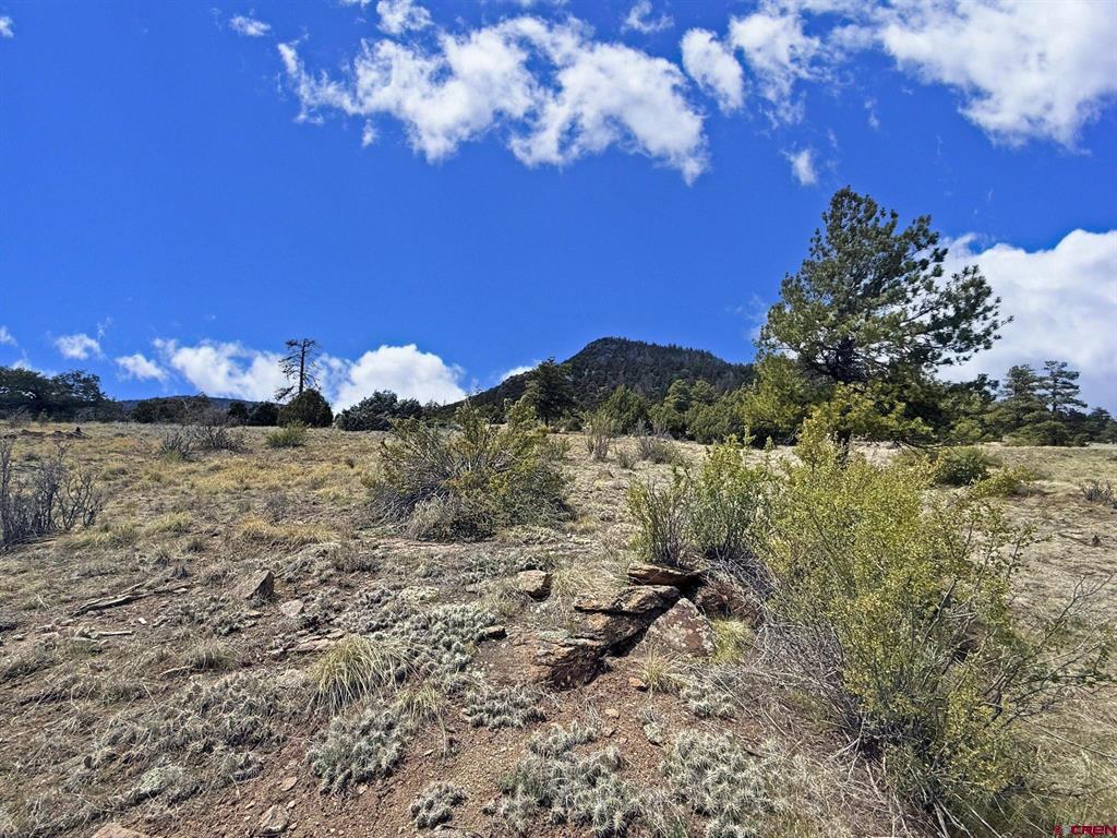51 Moajve Court South Fork CO 81154