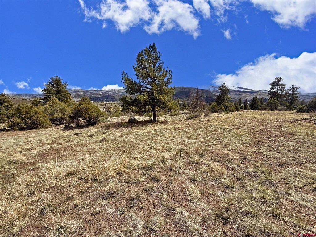 51 Moajve Court South Fork CO 81154