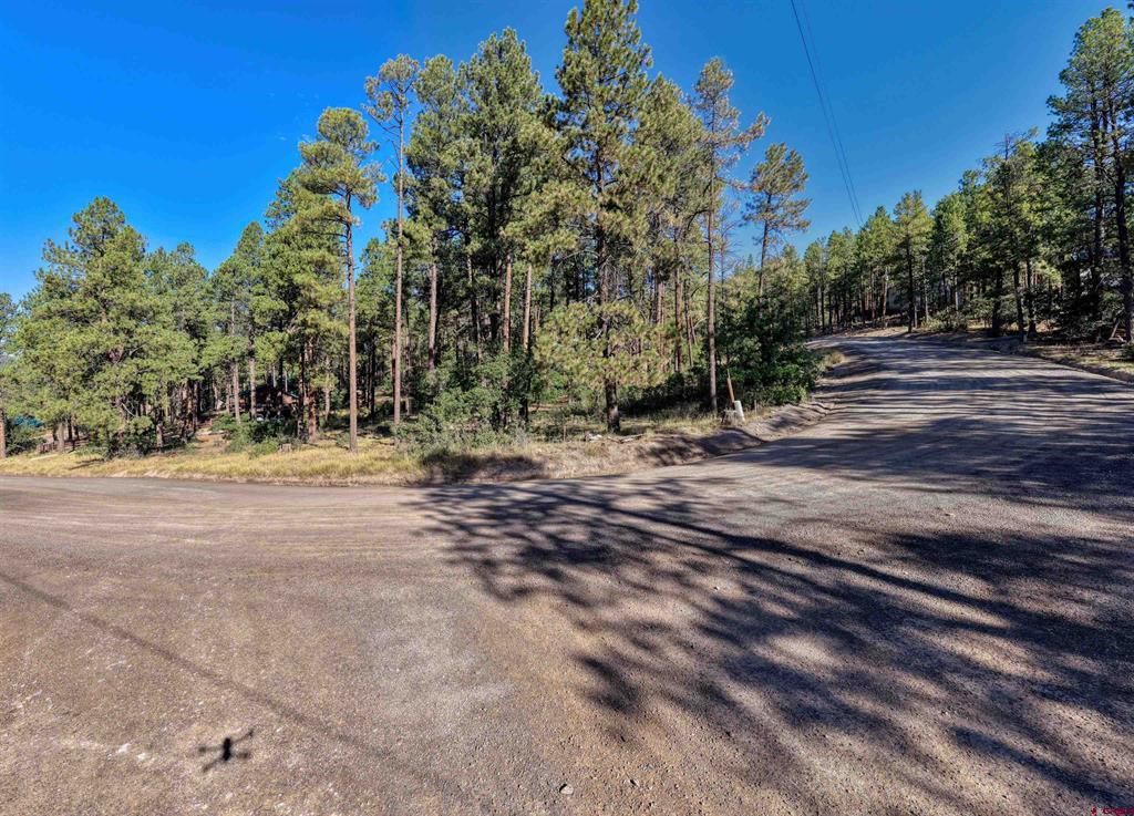 31 E Forest Lakes Drive Bayfield CO 81122