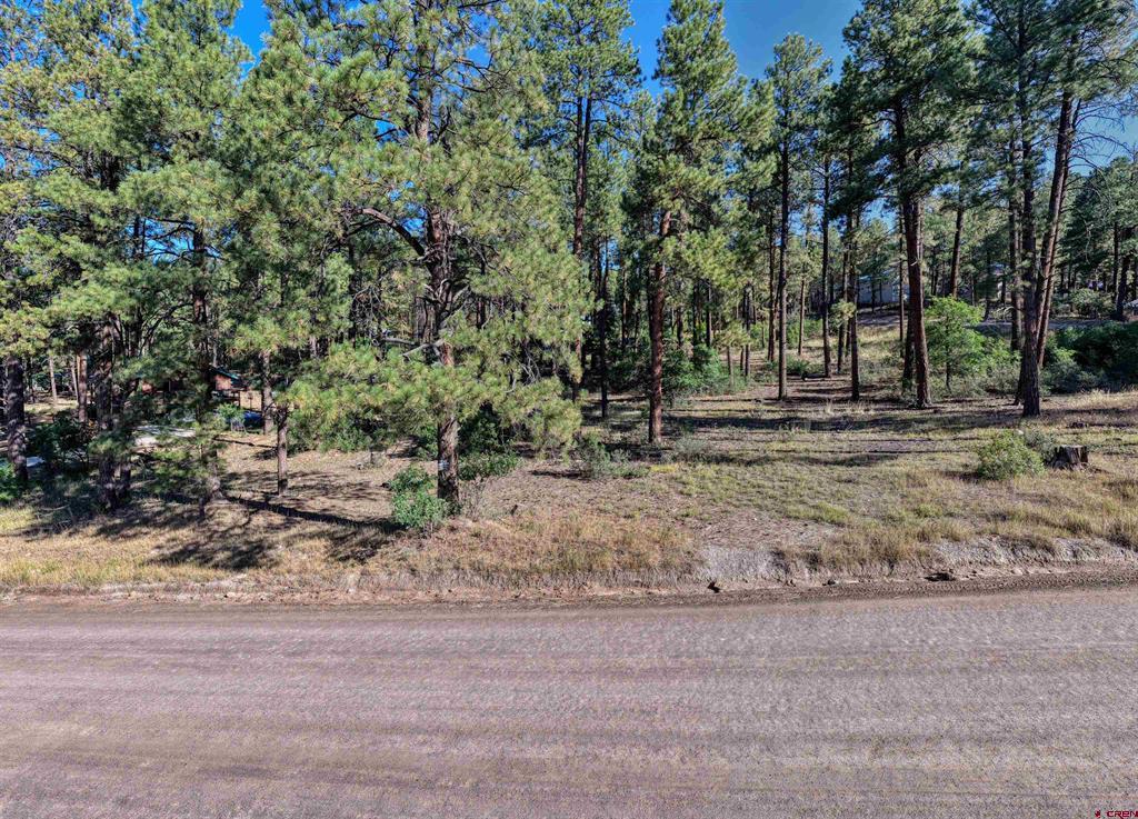 31 E Forest Lakes Drive Bayfield CO 81122