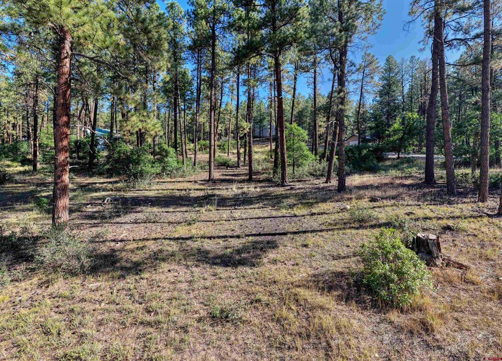 31 E Forest Lakes Drive Bayfield CO 81122