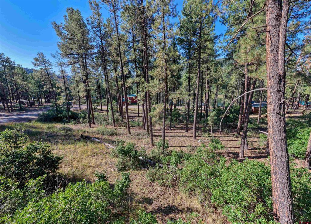 31 E Forest Lakes Drive Bayfield CO 81122