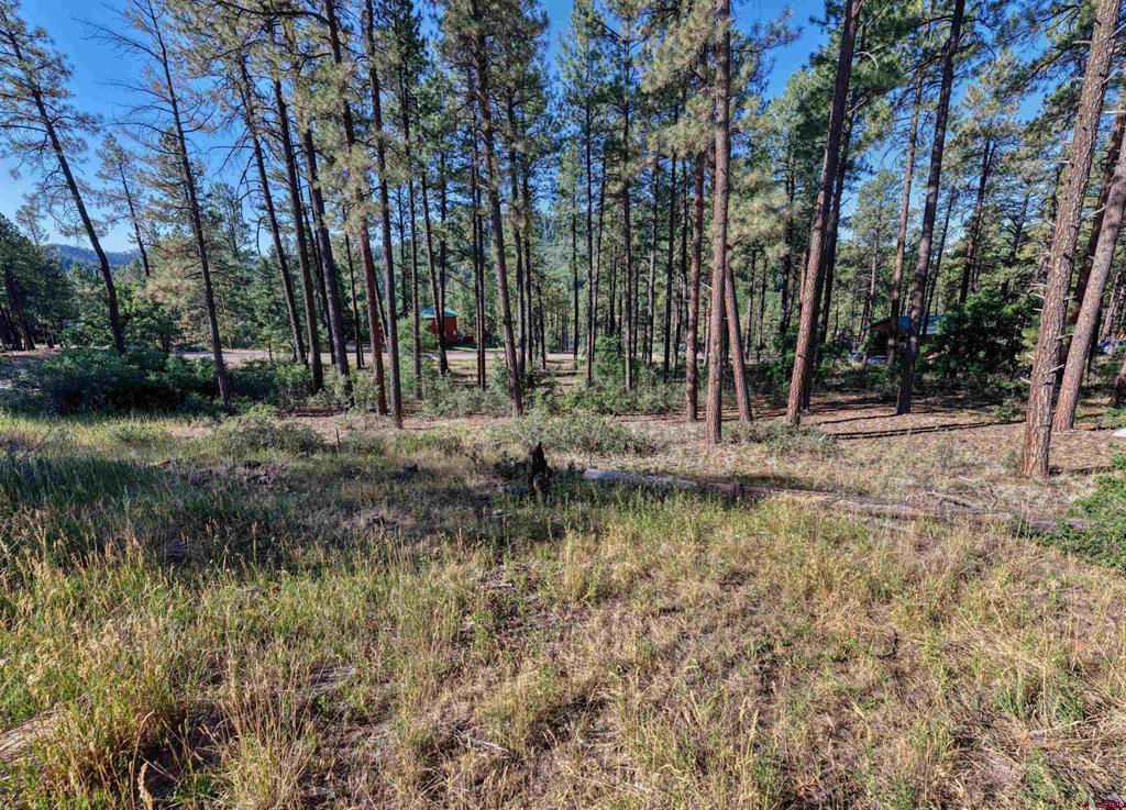 31 E Forest Lakes Drive Bayfield CO 81122