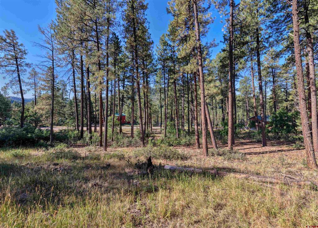 31 E Forest Lakes Drive Bayfield CO 81122