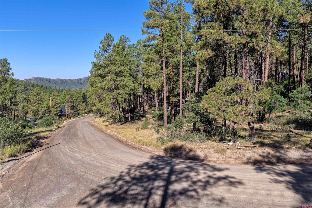 31 E Forest Lakes Drive Bayfield CO 81122