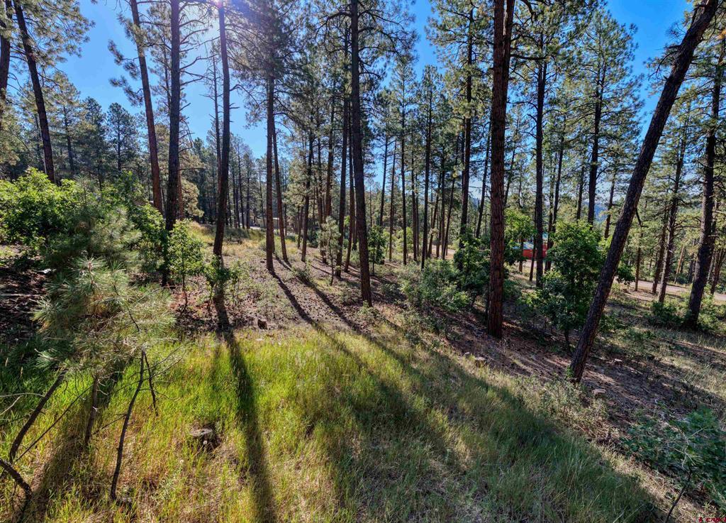 31 E Forest Lakes Drive Bayfield CO 81122