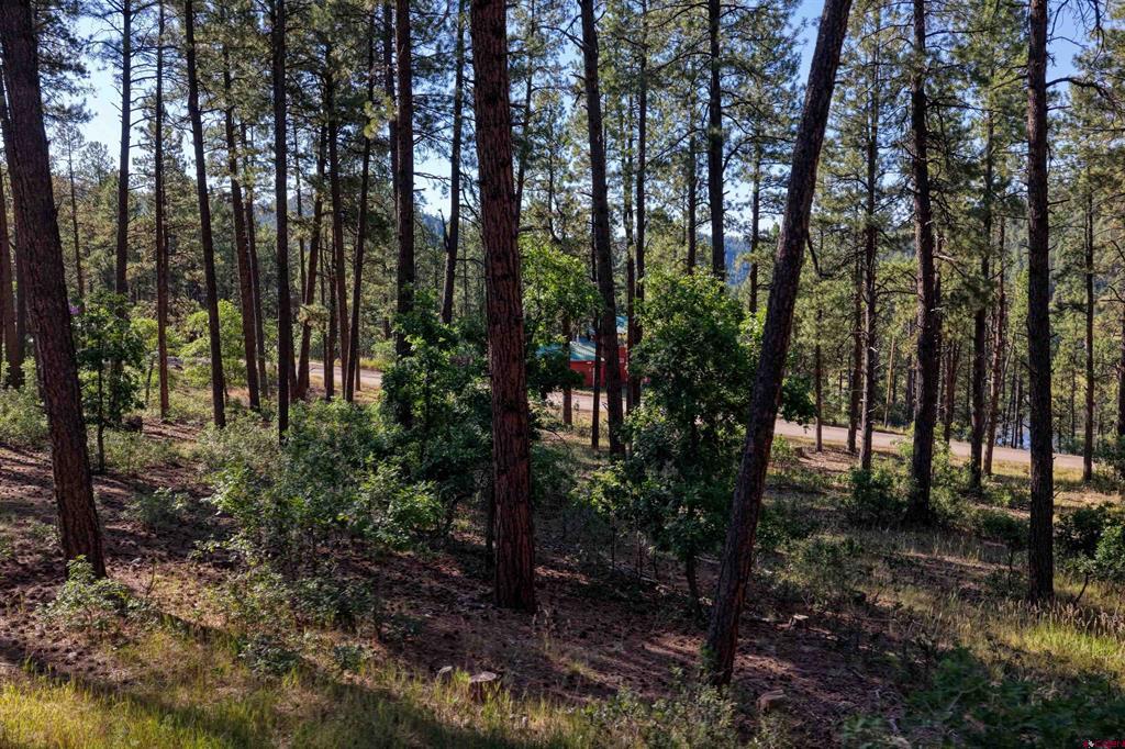 31 E Forest Lakes Drive Bayfield CO 81122