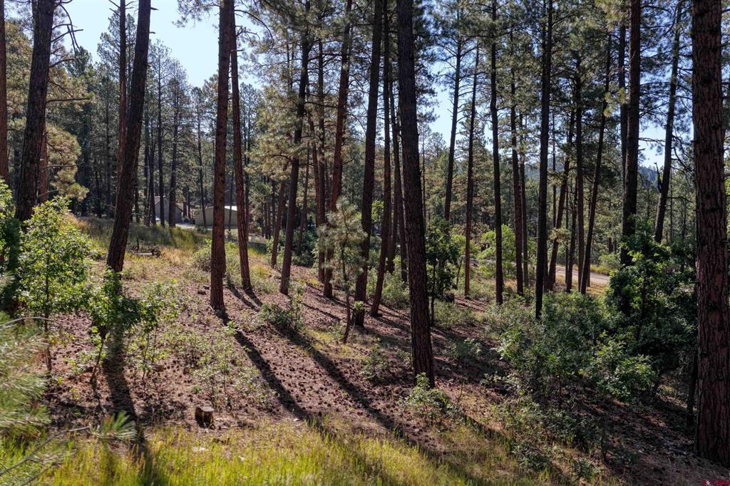 31 E Forest Lakes Drive Bayfield CO 81122