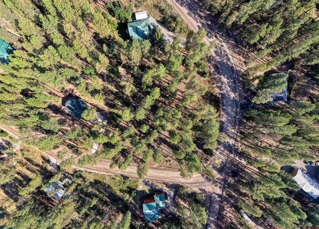 31 E Forest Lakes Drive Bayfield CO 81122