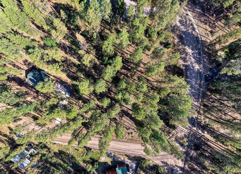 31 E Forest Lakes Drive Bayfield CO 81122