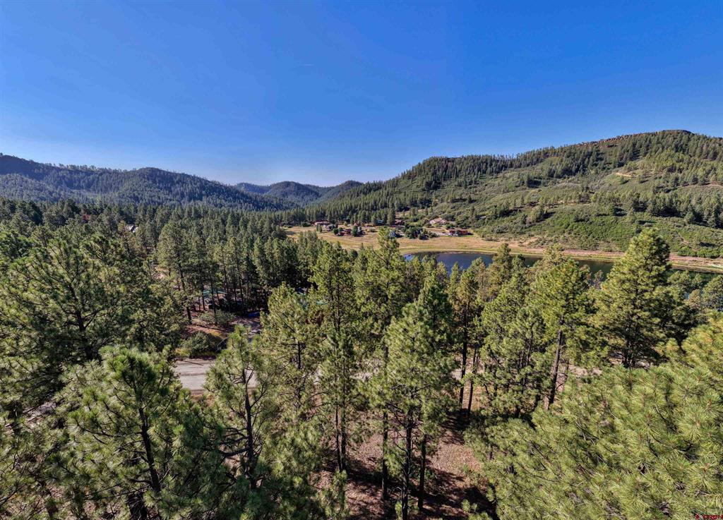 31 E Forest Lakes Drive Bayfield CO 81122