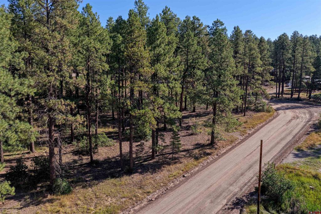31 E Forest Lakes Drive Bayfield CO 81122