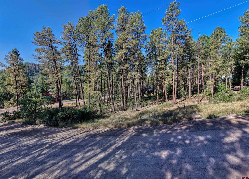 31 E Forest Lakes Drive Bayfield CO 81122