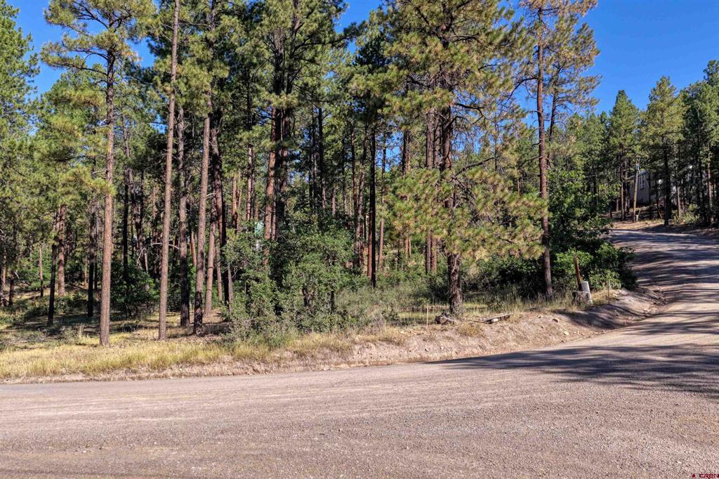 31 E Forest Lakes Drive Bayfield CO 81122