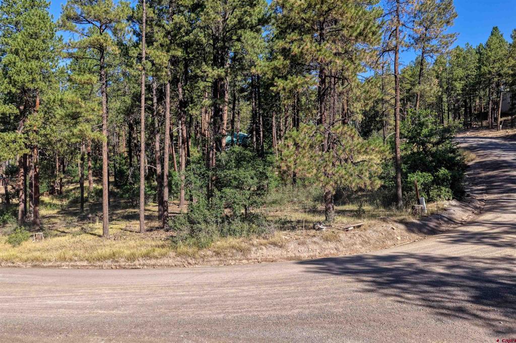 31 E Forest Lakes Drive Bayfield CO 81122
