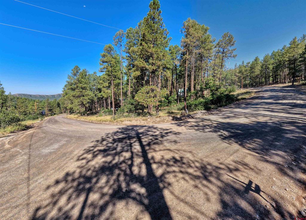 31 E Forest Lakes Drive Bayfield CO 81122