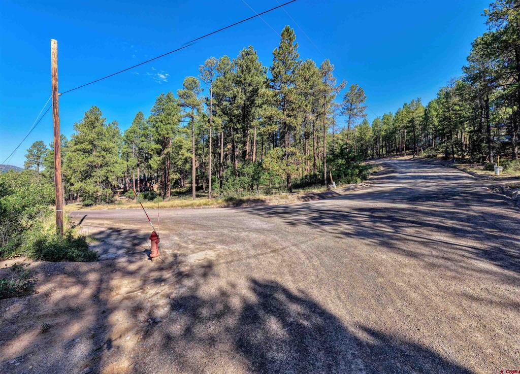 31 E Forest Lakes Drive Bayfield CO 81122