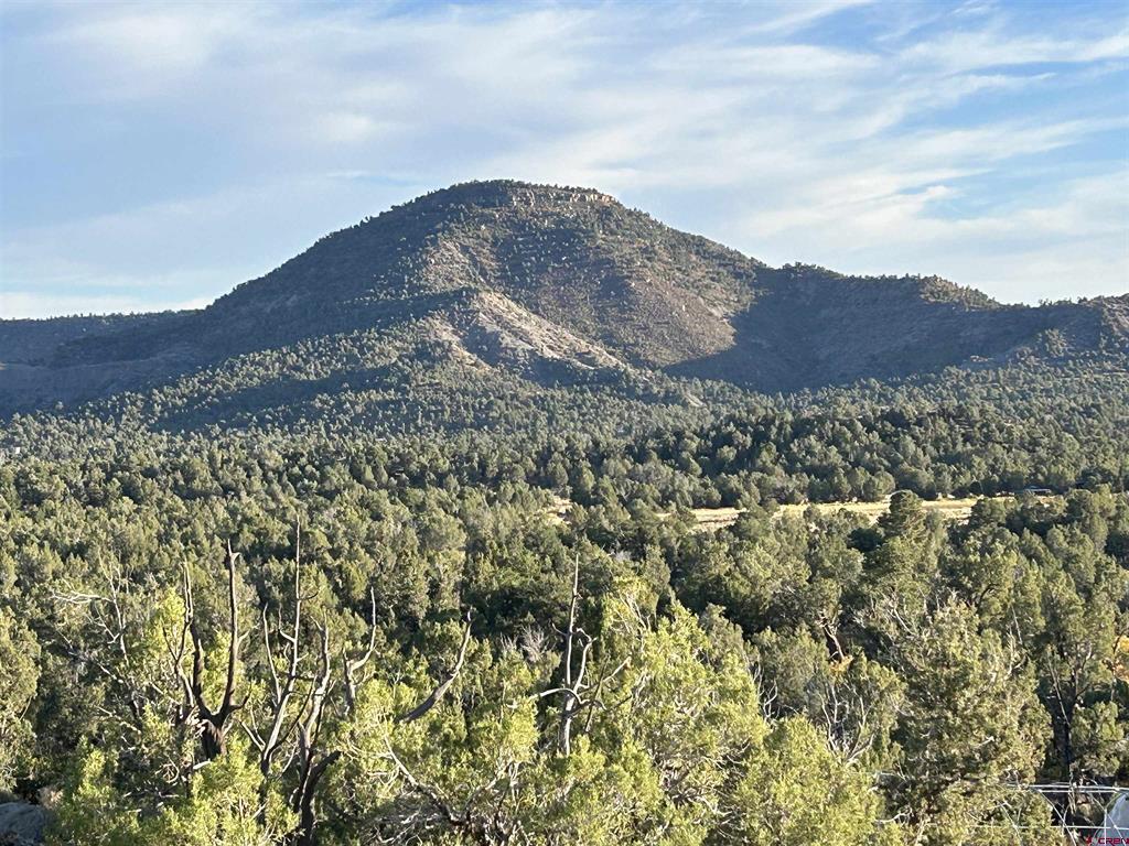 2519 Green Shadows Road Durango CO 81303