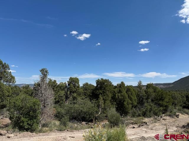 2519 Green Shadows Road Durango CO 81303