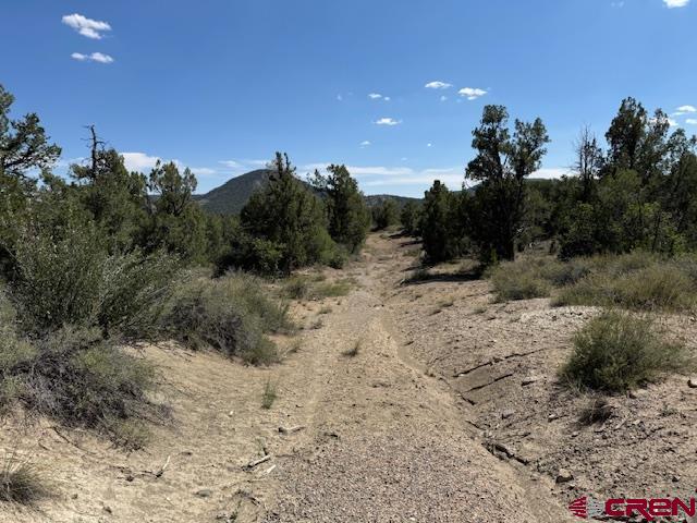 2519 Green Shadows Road Durango CO 81303