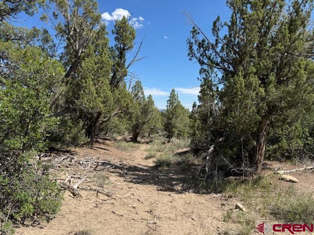 2519 Green Shadows Road Durango CO 81303
