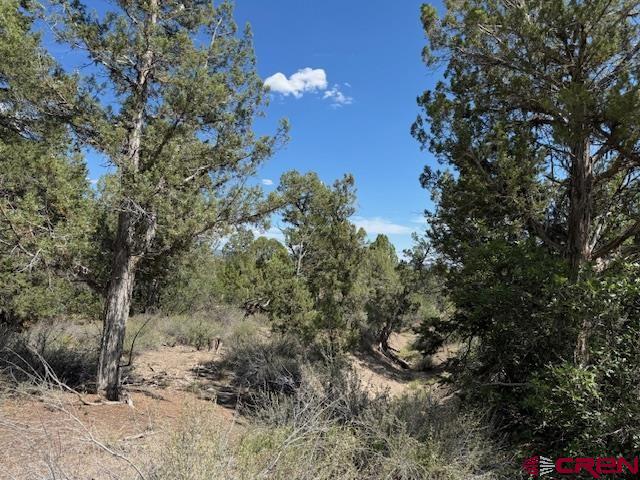 2519 Green Shadows Road Durango CO 81303