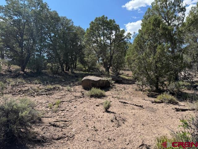 2519 Green Shadows Road Durango CO 81303